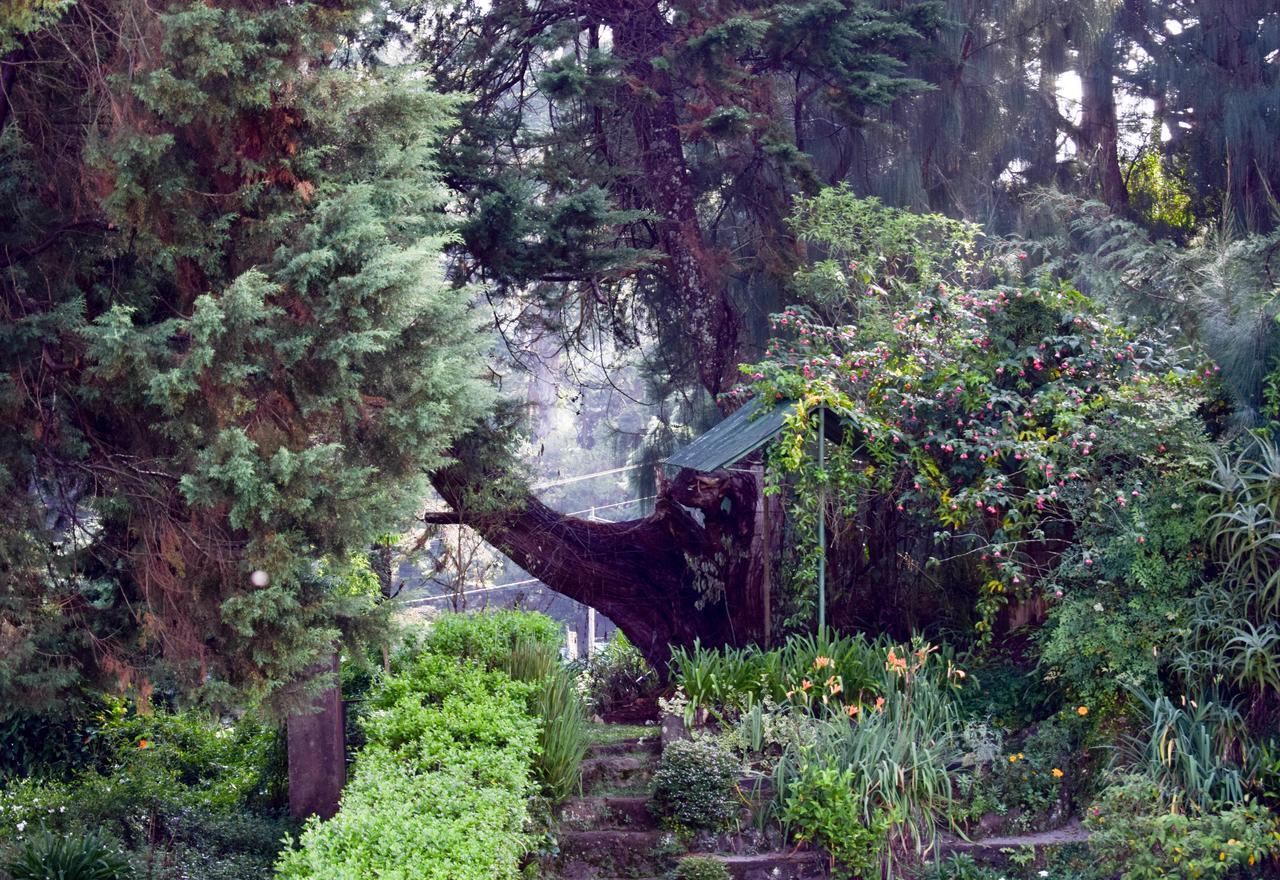 Mount Mary Inn Nuwara Eliya Kültér fotó
