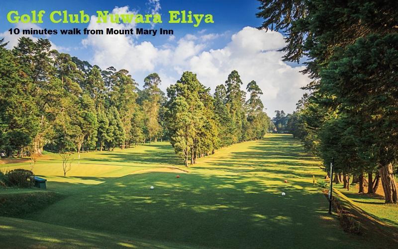 Mount Mary Inn Nuwara Eliya Kültér fotó