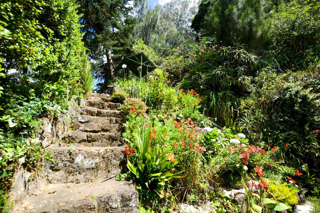Mount Mary Inn Nuwara Eliya Kültér fotó